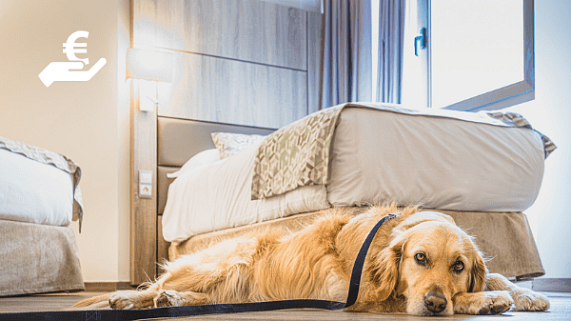 Come with your pet, ¡we are pet-friendly!