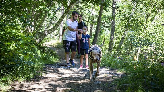 Summer Activity: Free Walking Tours