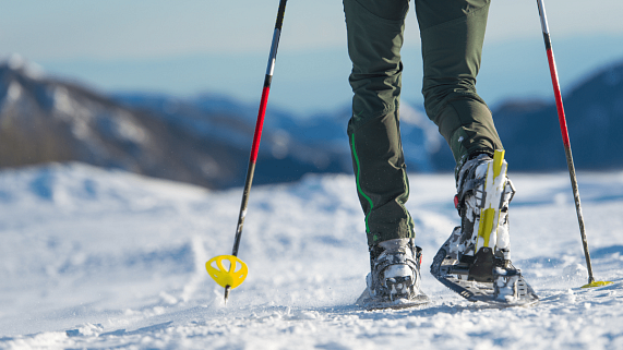 Snowshoeing Excursion