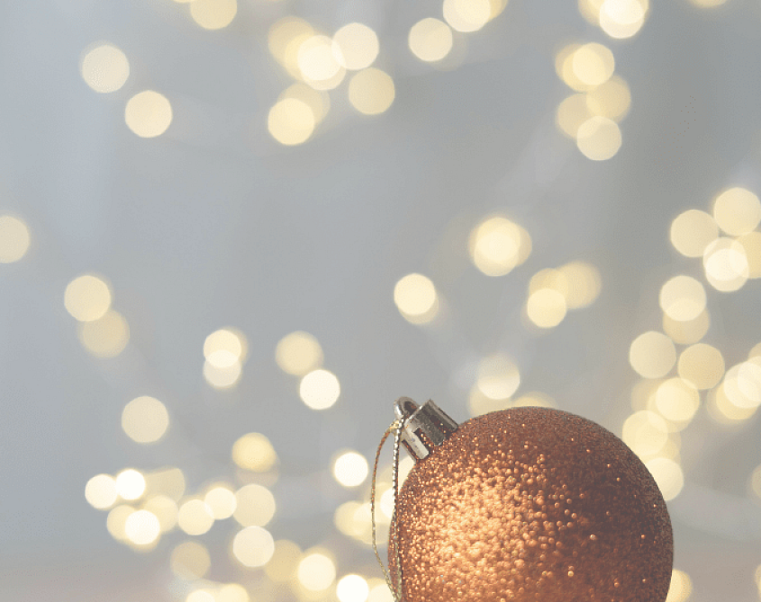 Programa Especial Navidad y Fin de Año