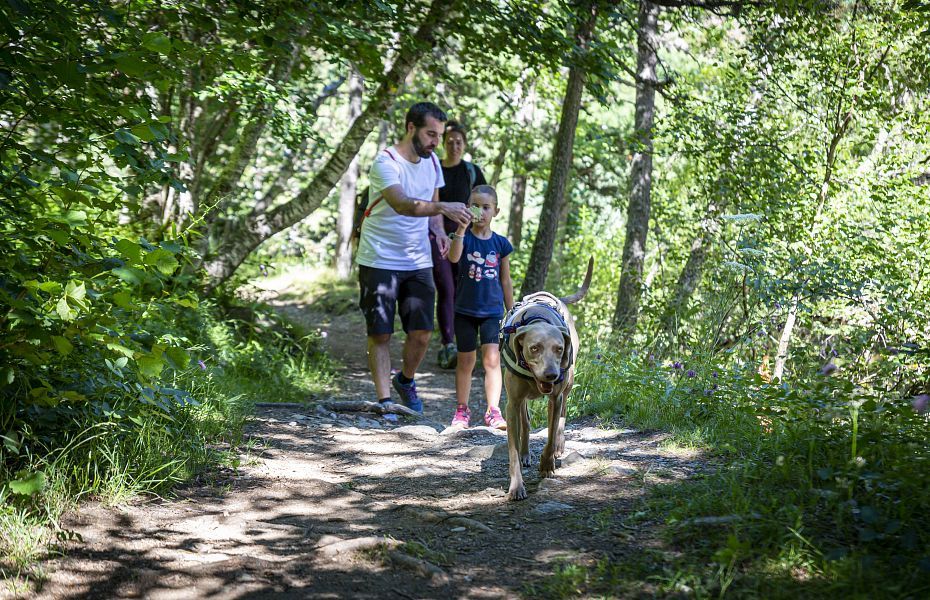 L'été en Andorre : nature, piscine et activités pour toute la famille